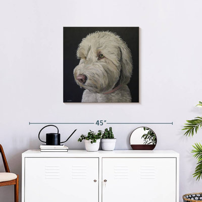 Crowle Labradoodle Goldendoodle