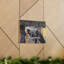 No Frame Print on Canvas-1396776469