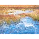 Ice On Autumn Pond Print by Bruce Heinemann