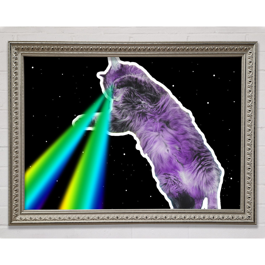 Katze Lazer Beam Space - Druck