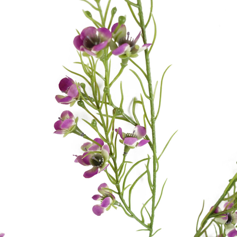 Artificial Arrangement, Purple