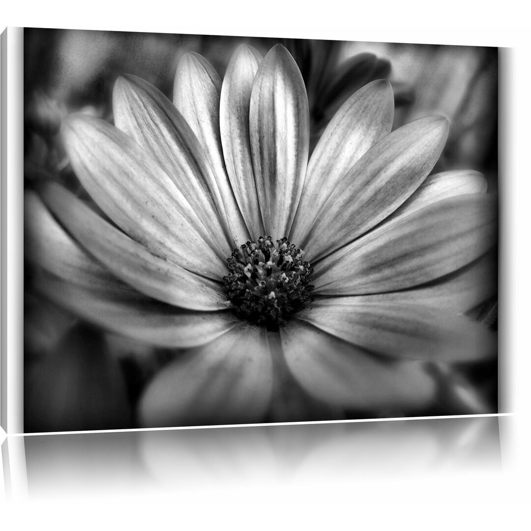 Leinwandbild Außergewöhnliche Blume in Monochrom