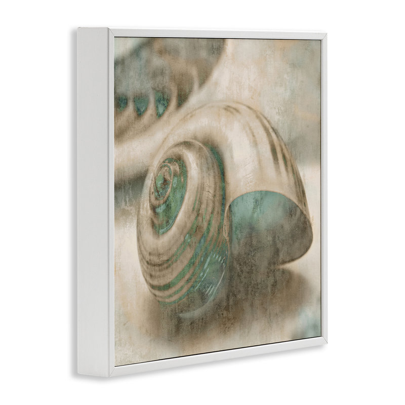 «Centered Sharkeye Seashell Texture patiné bleu clair» par Ziwei Li - impression d'art graphique, H 12 po x l 12 po