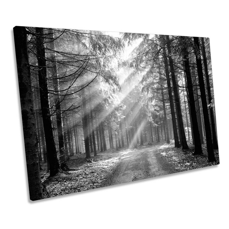 Forest Landscape Black And White - Wrapped Canvas Print, 40.6cm H x 61cm W