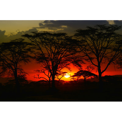 Safari in the Serengeti par - Photographie de toile tendue
