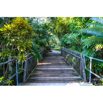 The Path