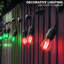 Guirlande lumineuse 0,5 W à DEL S14 de 0,5 W, rouge et verte, base E26 / moyenne (standard)