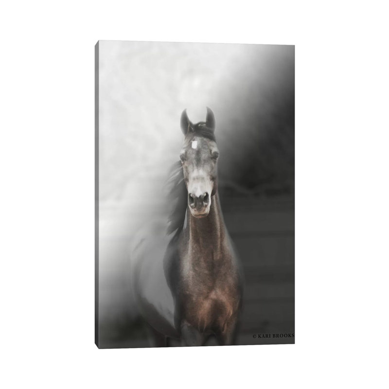 Free Color Cookie by Kari Brooks - Wrapped Canvas Gallery-Wrapped Canvas Giclée, 45.72cm H x 45.72cm W