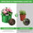 5-Pack 3-Gallon Green Felt Grow Bags – Heavy-Duty Breathable Fabric Planters-41164167-41164166