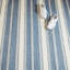 Bowman Machine Printed Polyester Striped Area Rug in Blue/White-1904427610