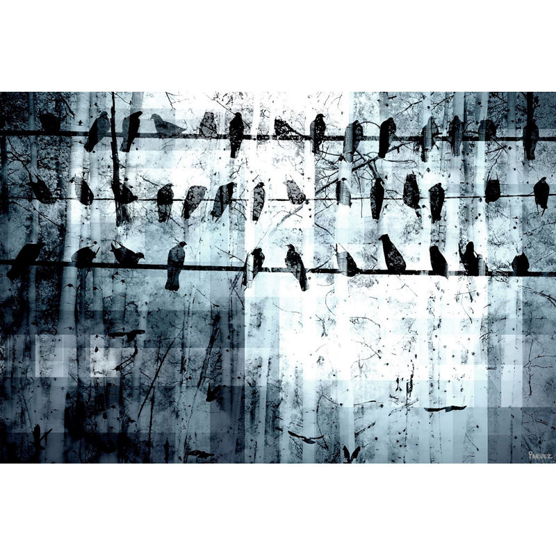 Parvez Taj - Wrapped Canvas Print, 51cm H x 76cm W x 4cm D