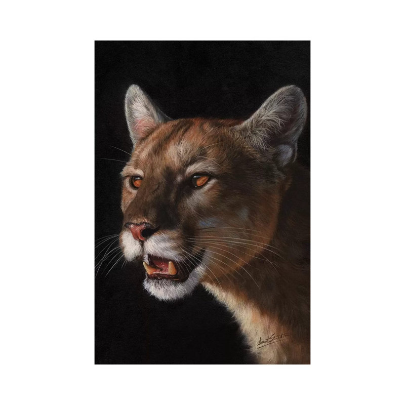 Cougar 1 Piece Wrapped Canvas Wall Art, 20.32 cm H x 30.48 cm W