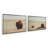 Prairie Bisons Set of 2-100965258-100965267-128161477