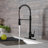 PROOX Pull Down Kitchen Faucet-49431331-117320601