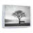 White Picture Framed