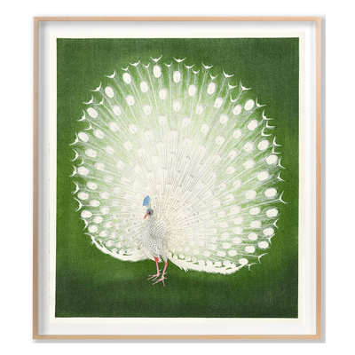 White Peacock Print by Grand Archives
