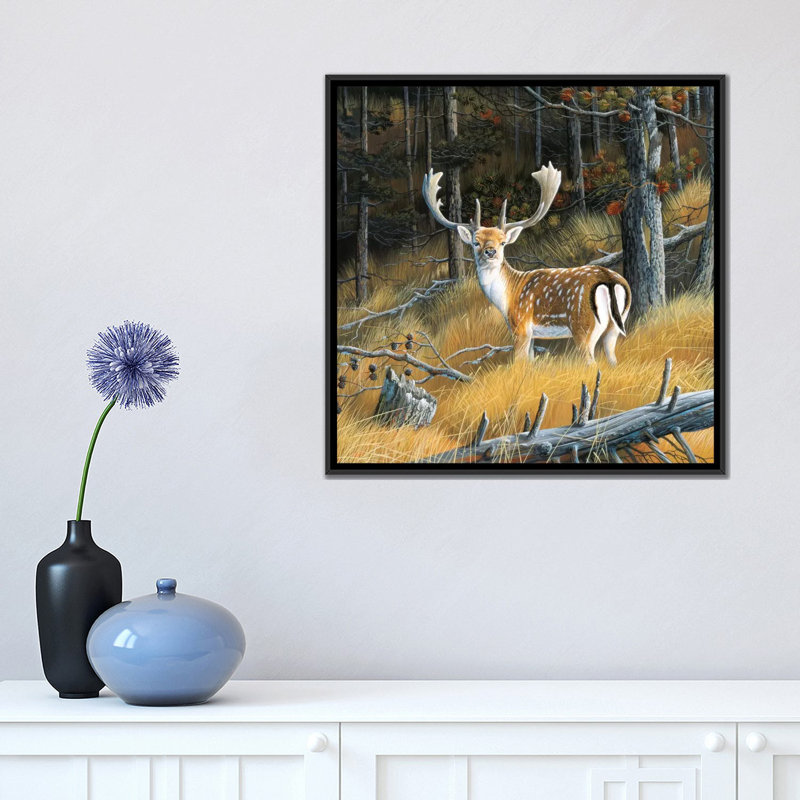 «Beautiful Deer», impression sur toile, H 18 po x l 18 po x P 1,5 po, Toile avec cadre noir, Pas de tapis