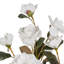 170cm Faux Magnolia Tree in Pot-1342015815