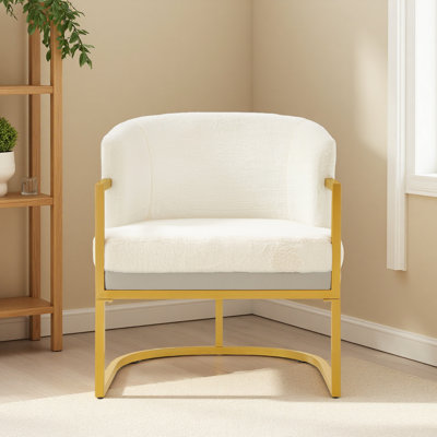 Chaise de lecture rembourrée avec fauteuil en métal moderne Modern Accent Chair
