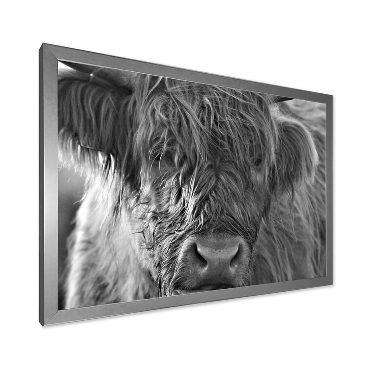 24 X 32 Blake Hey Dude Highland Cow Framed Printed Wood By The
