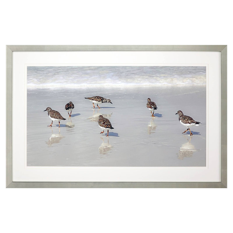 Sandpiper Reflections Framed On Print