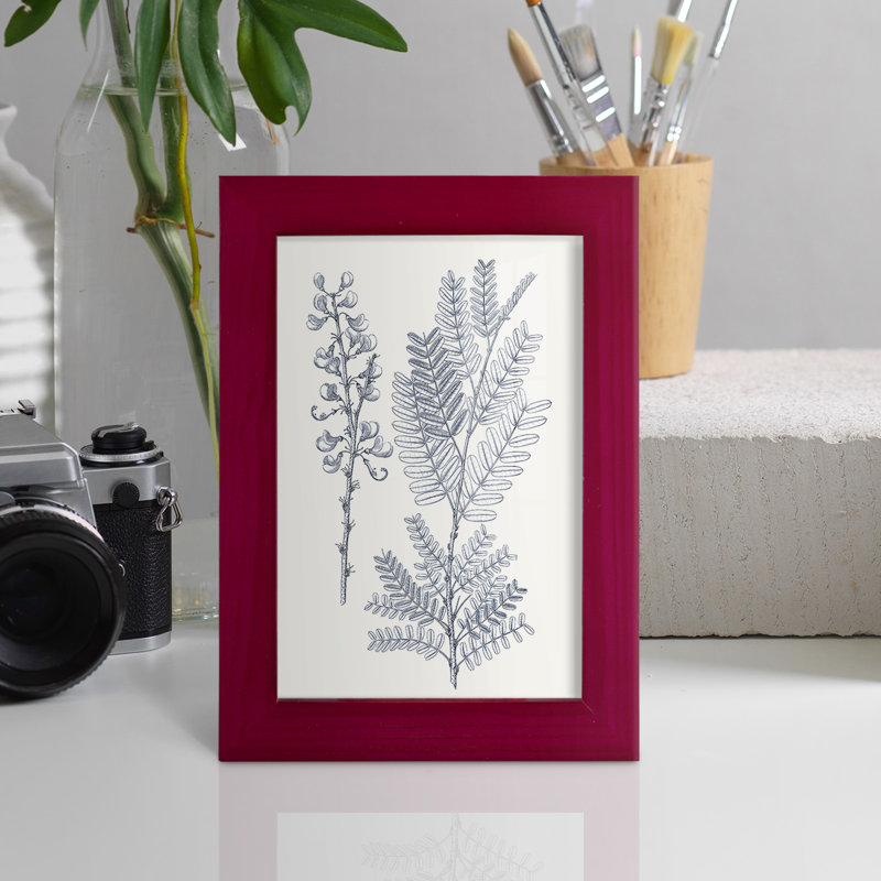 Indigo Botany Study VII, reproduction, Rouge, H 6 po x l 4 po x P 1 po
