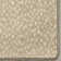 Imagine Nature's Expression Dapple Desert Area Rug