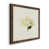 Walnut Framed