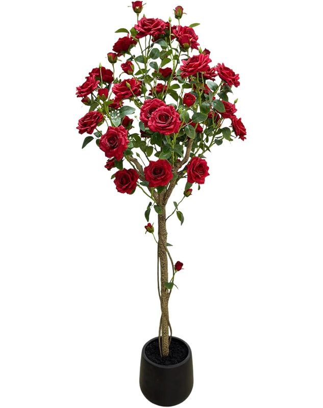 Arrangement, Black