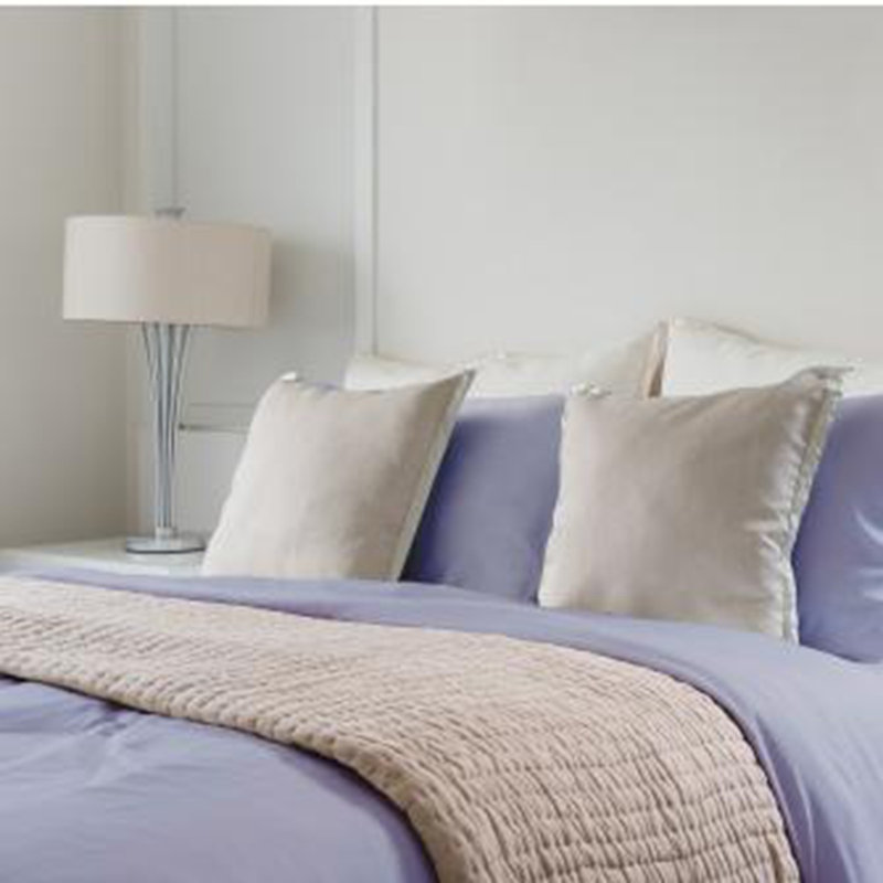 Deluxe Soft 100% Rayon Derived From Bamboo 4-Piece Sheet Set, Queen Sheet Set, Light Purple
