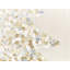 CLEYERA Beige Square Cushion