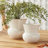 Delaney Pot Planter-109423761-109707763