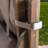 NIKKI BEACH SLING CHAIR - GREY(Set Of 2)