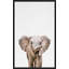 Bébé éléphant par - photographie-406450594-406450589