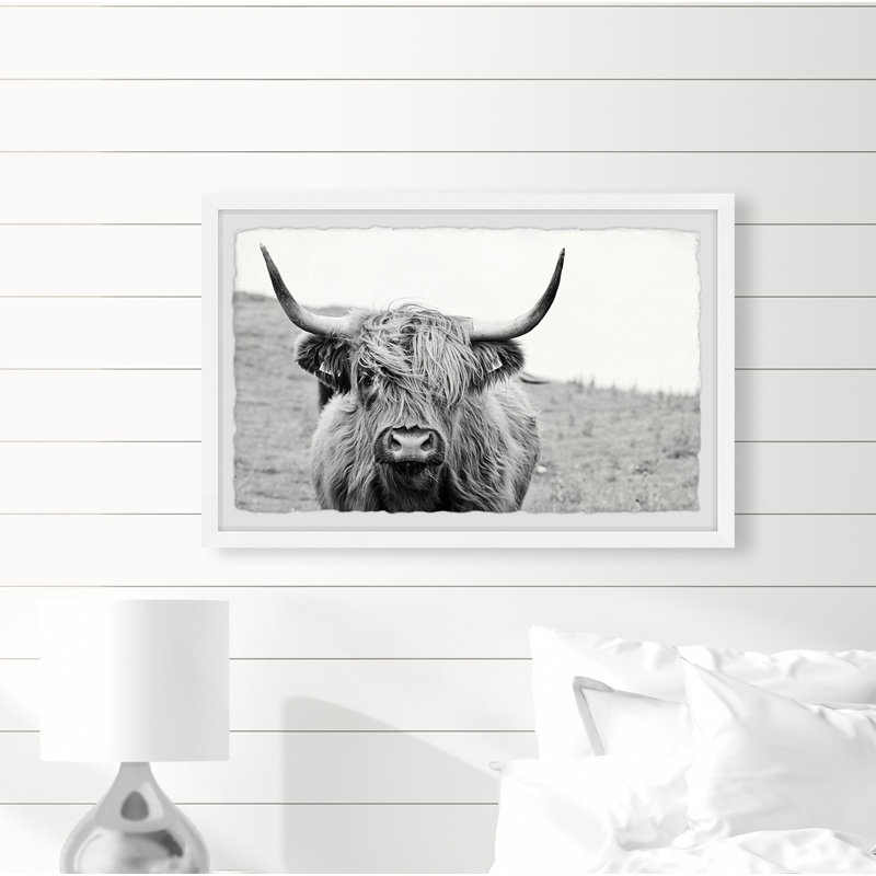 Mountain Cow - Single Picture Frame Print, 38cm H x 45cm W x 3.81cm D