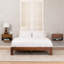 Halya Solid Wood Bedside Table Floating Nightstand-899469589