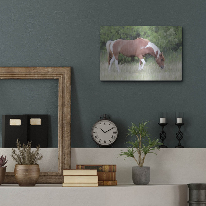 «Assateague Horse» par Lori Deiter, H 12 po x l 16 po