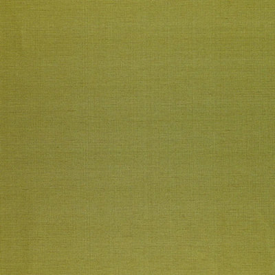 Poiret Satin Fabric