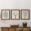Indigo Coral I - ensemble de 3 peintures sur toile encadrées-1376539727-1376539720
