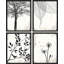 «Black and White Forest Tree Leaf Dandelion», reproduction imprimée sur papier, 4 pièces-97782181-97782185