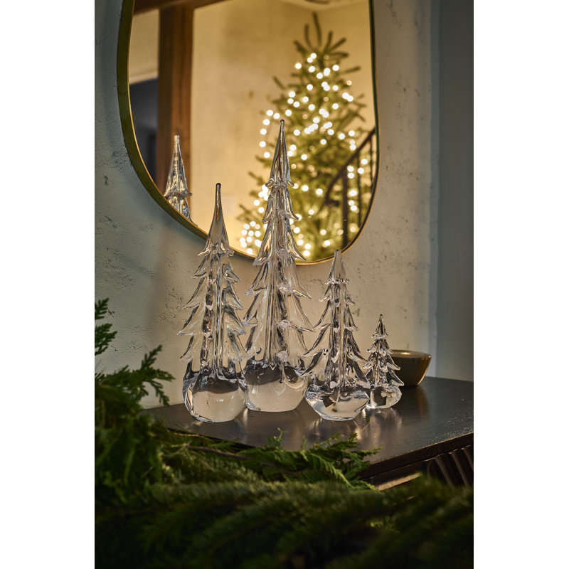 Five-Sided Evergreen, 6 inch