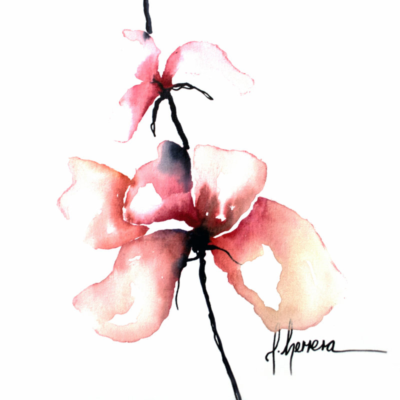 Floral audacieux I, H 20 po x l 20 po x P 1,25 po