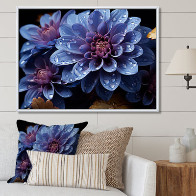" Mums Nocturnal Elegance Midnight Indigo "