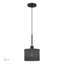 Mini-luminaire suspendu 1 lumière Arsdale