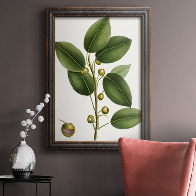 Cerisier figuier - reproduction de cadre photo sur toile