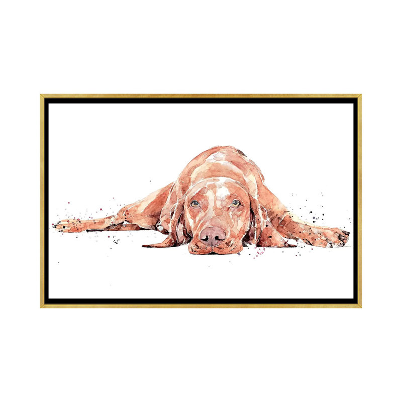 Vizsla Flat Out par EdsWatercolours - Imprimé, H 18 po x l 26 po x P 1,5 po, Toile encadrée d'or, Pas de tapis