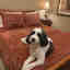 Photos des clients 3 de 3