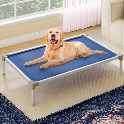 Indoor/Outdoor Elevated Aluminum Frame Polyester Dog Bed 