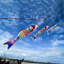 Spectrum Koi Fishsock-1814237310-1814237306