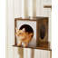 165cm H Cat Tree-89157863